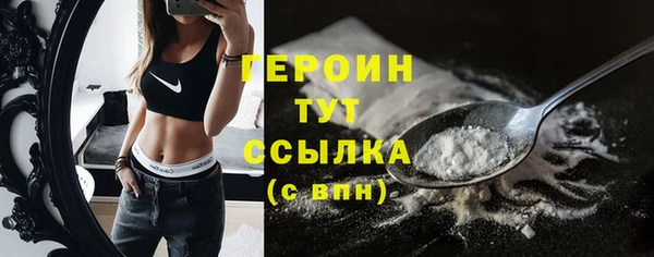 СК Алексин