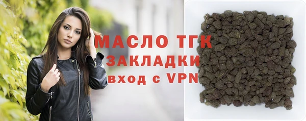 СК Алексин