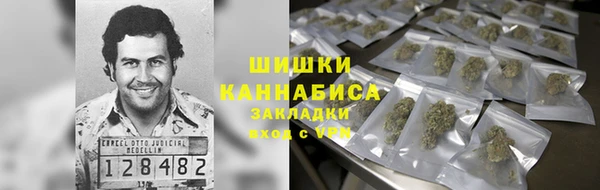 СК Алексин