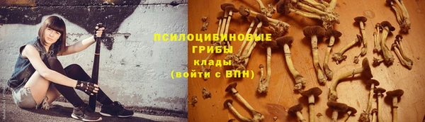 кокс Алзамай