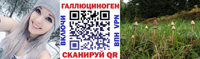 Псилоцибиновые грибы GOLDEN TEACHER  Нефтекамск 