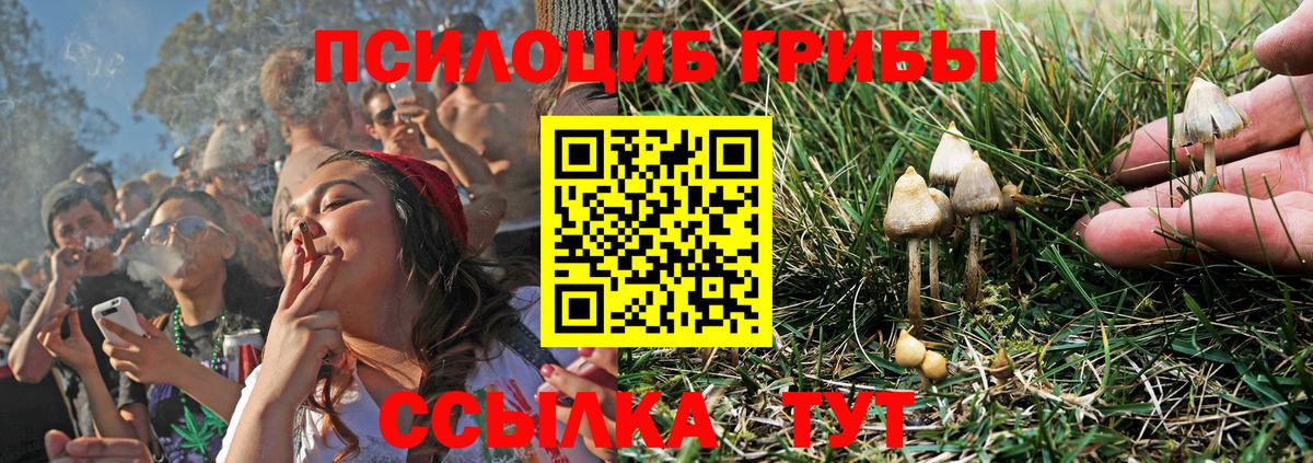 Псилоцибиновые грибы Psilocybine cubensis Нефтекамск